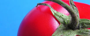 American Dietetic Intranet Site