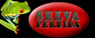 Selva Perdida Game